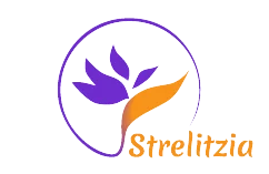Strelitzia