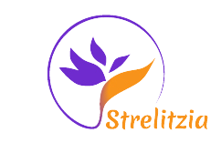 Strelitzia